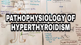 Pathophysiology of HYPERTHYROIDISM [upl. by Caterina]