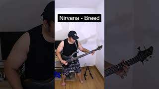 Nirvana  Breed Bass Cover [upl. by Ellerahs]