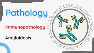 Pathology  Immunopathology  Amyloidosis [upl. by Cohette203]