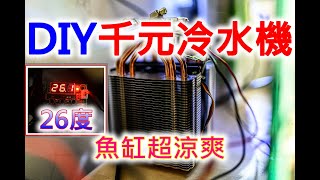 DIY 冷水機  小魚缸的夏天依然涼爽  致冷晶片冷水機  HOW TO build a peltier cooler for nano aquarium [upl. by Tayyebeb633]