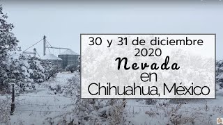 Nieve en Chihuahua MEXICO  Campos Menonitas [upl. by Enitsugua]