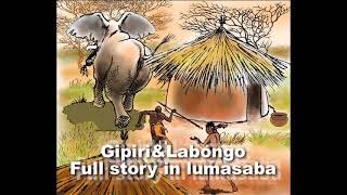 Gipiri and Labongo Full Story in Lumasaba [upl. by Chastity]