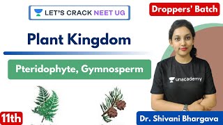 Plant Kingdom  Pteridophyte Gymnosperm  Class 11th  NEET Biology  NEET 20212022 [upl. by Leinadnhoj270]