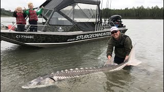 Fishing British Columbia Giant sturgeon camping and exploring WT part 12 [upl. by Sherwood]