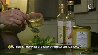 Moutarde de Dijon comment estelle fabriquée [upl. by Annayoj]