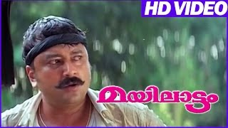 Mayilattam Malayalam Comedy Movie  Jayaram Action Scene  Jayaram  Jagathy [upl. by Awjan]