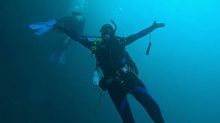 Piopiotahi Milford Sound with Dive Otago [upl. by Aisul520]