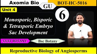 Monosporic Bisporic amp Terasporic Embryo Sac development Bsc Botany 5th sem GU Axomia Bio [upl. by Resneps]