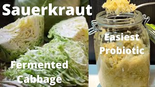 How to Make Homemade Sauerkraut Probiotic Fermented Cabbage Just 2 Ingredient  For Healthy Gut [upl. by Suzette]