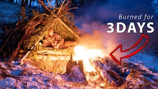 Lost in the Wilderness  How to NOT Freeze to Death Winter Survival amp Bushcraft No Tent or Bag [upl. by Suzann]