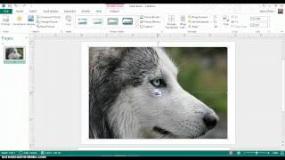 Creating Logos in Microsoft Publisher [upl. by Nilek]