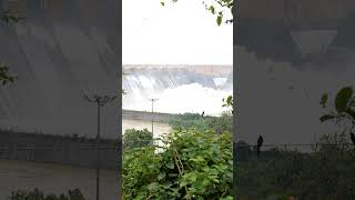 Hirakud Dam Gate Opening  Crest Gate Overflow  Wildgrass Entertainment  Flood Water  Shorts [upl. by Grier]