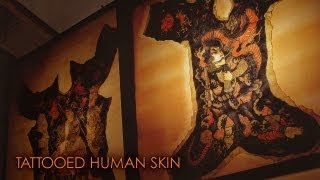 刺青の人体標本 Tattooed human skin [upl. by Arzed]