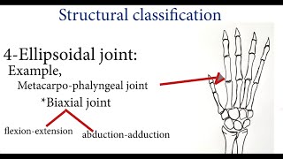 Joints  Classification of Joints  Synovial Joints  Fibrous Joints  Cartilaginous Joints  MBBS [upl. by Flynn275]