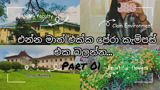 පේරා කැම්පස් එකේ රවුමක් යමු🌸😍💕🍃🌼🌈Part 1 Vinu Vlogs University of Peradeniya aesthetic [upl. by Nymzaj]