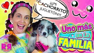 UNO MÁS en la FAMILA 🐶 TAG de la MASCOTA NUEVO MIEMBRO revoltoso 🐕 Perritos cachorros YOUTUBERS [upl. by Salvadore]