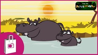 Im a Hippo [upl. by Liebman]