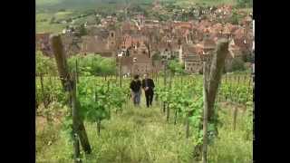 Discover the Wines of Alsace [upl. by Ardle611]