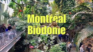 4K The Biodome of Montreal an Immersive and Multisensory Experience [upl. by Vic]