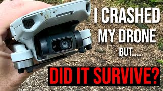 I CRASHED MY DJI MINI 2  DJI FLY 1412 [upl. by Eladroc]