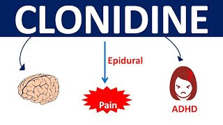 Clonidine  Mechanism precautions side effects amp uses [upl. by Elonore]