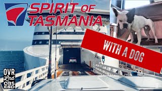 Our trip on The Spirit Of Tasmania WITH our Dog [upl. by Petie]