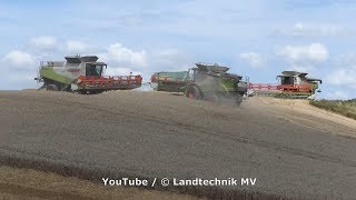 ClaasJohn Deere  Getreideernte  Grain Harvest 2019 [upl. by Zarah]