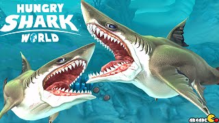 Megalodon Shark Vs GREAT WHITE SHARK  Hungry Shark World [upl. by Blynn]