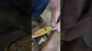 Repairing a torn out insert on Furniture [upl. by Sivahc]