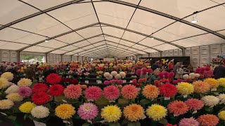 Autumn Harrogate Flower Show [upl. by Pollack724]