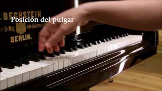 Correcto uso del pulgar Escuela pianística de Vincenzo Scaramuzza Diego Fedeli piano [upl. by Nyleimaj]