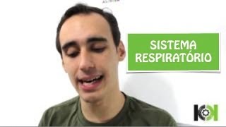 Fisiologia Animal  Sistema Respiratório [upl. by Inaffit]