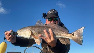 Mosquito Lagoon Fishing Report 12182023 [upl. by Wolfe850]