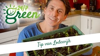 Tip van Lodewijk Stekken [upl. by Drucy867]