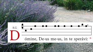 Psalm 7 210  Latin Gregorian Chant  tone 8G [upl. by Noyerb]