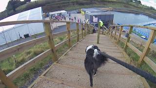 Knockbracken Reservoir parkrun Event 3 14th March 2020 [upl. by Zia]