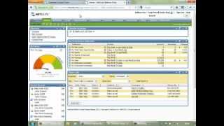 NetSuite Overview [upl. by Nafets]