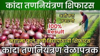 ❌हे नियोजन कांद्यात गवत येऊ देणार नाही🧅🌱😮कांदा तणनाशक नियोजन  तणनाशक प्रमाण  Onion Weedicides [upl. by Llamaj]