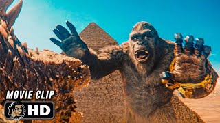 Egypt Fight Scene  GODZILLA X KONG THE NEW EMPIRE 2024 Movie CLIP HD [upl. by Mitinger859]