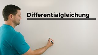 Differentialgleichung lösen linear inhomogen konstante Koeffizienten  Daniel Jung [upl. by Mcgee933]