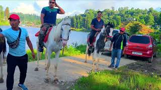 ঘোড়ায় ছেপে বিয়ে করতেগেলাম মীরিক লেকে 🦠🏇 mere Le ka horse riding my Pankhiraj Whitey 🌈🌈￼￼ [upl. by Anawat]