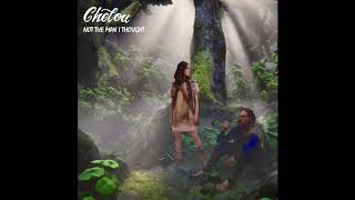 Chelou  Not The Man I Thought Official Audio [upl. by Ilwain]