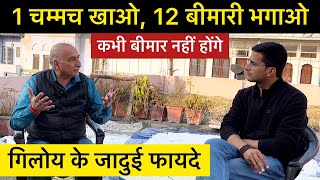 Giloy Benefits in hindi  Giloy ke fayde  गिलोय के फायदे  Giloy Satva Ke Fayde  The Health Show [upl. by Arrol]