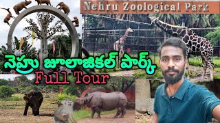 NEHRU ZOOLOGICAL PARK HYDERABAD COMPLETE TOUR  VILLAGE DIRECTOR [upl. by Adelle687]