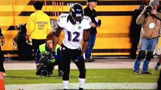 Jacoby Jones TD dance [upl. by Baggott]