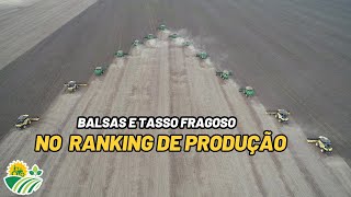 BALSAS E TASSO FRAGOSO NO RANKING DE PRODUÇÃO [upl. by Adriena]