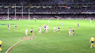 Geelong vs Carlton AFL Etihad Stadium Melbourne August 2010 [upl. by Resiak]