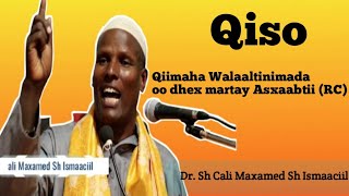 Qiso ku saabsan Qiimaha Walaaltinimada oo dhex martay Asxabtii RC Dr Sh Cali Maxamed Sh Ismaaciil [upl. by Donielle]