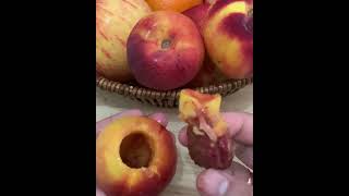 Nectarine deseeding amp cutting cuttingfruit nectarine satisfying shortsyoutube [upl. by Cykana]