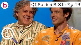 QI XL Series S Episode 13 FULL EPISODE  With Ed Gamble Lou Sanders amp Sindhu Vee [upl. by Luby]